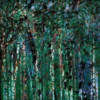 Birkenwald