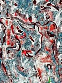 La Revange de Josephine