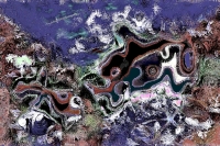 Reef