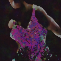 The Dress