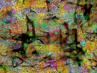 Trinitatis Kirchengemeinde