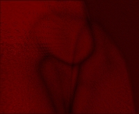 vultus tamen facio tactus