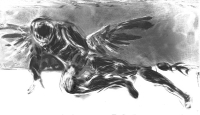 Fallen