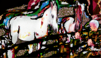 Feeding-the-Pit-Ponies