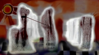 Stranger in a Strange Land