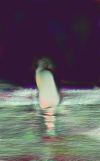 The Bather