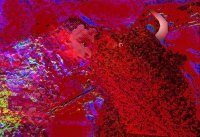 Matador - Moment of Truth